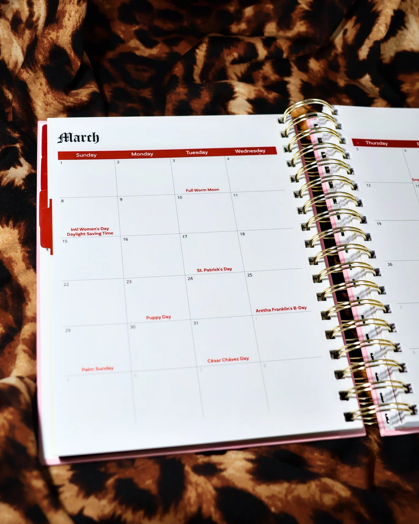 Bestie Bundle - 2 BD 2026 Planners - Image 5