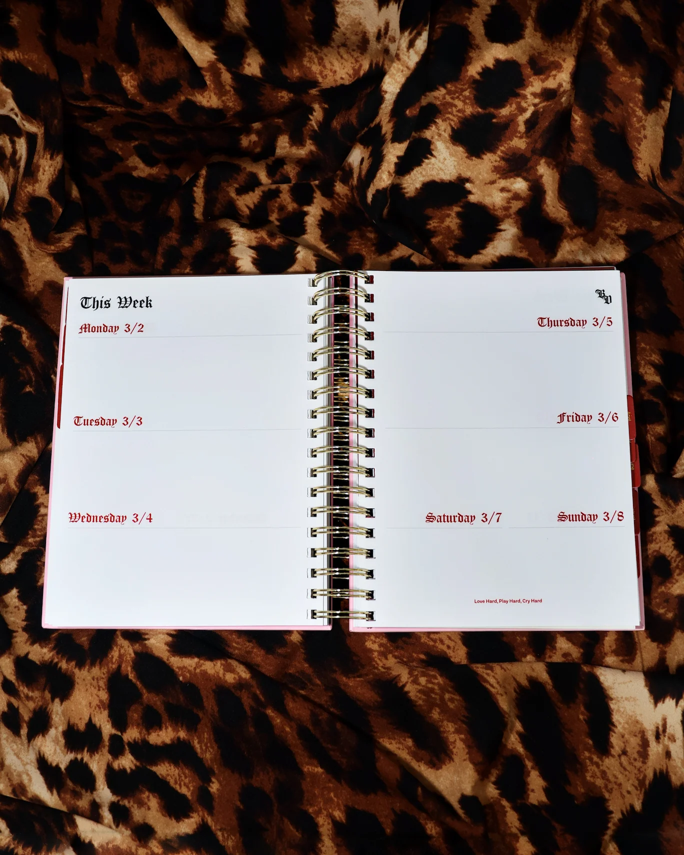 Bestie Bundle - 2 BD 2026 Planners - Image 7
